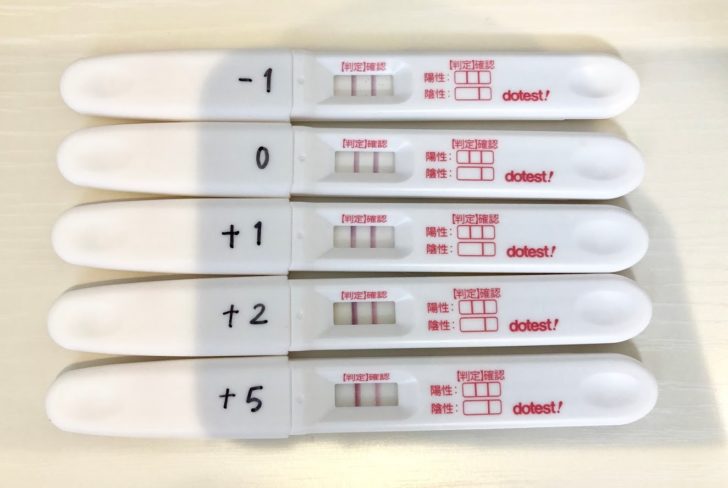 妊娠検査薬ドゥーテストの口コミは 薄い 生理予定日当日にフライング検査した結果を紹介 しゅふのわ Com